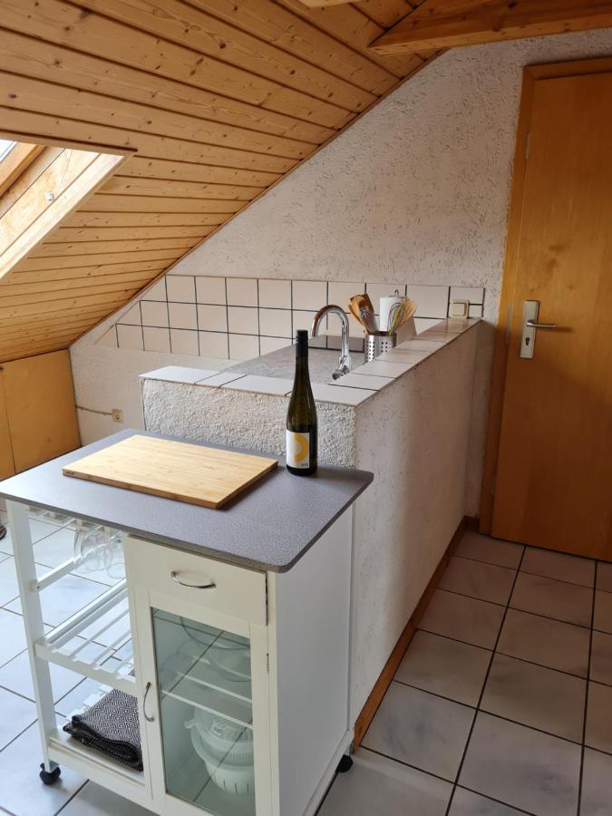 Chagall - Helles Und Gemuetliches Appartement Nahe Der Historischen Altstadt Mainz Eksteriør billede